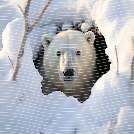 20oz integrate-EJ-9438